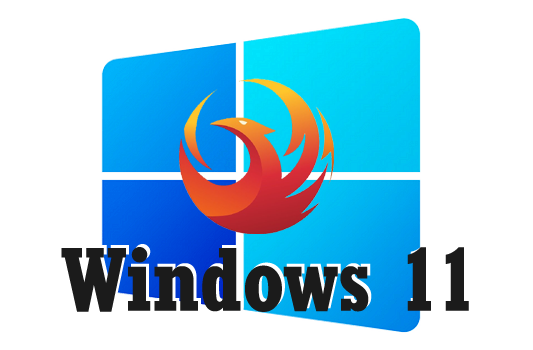 Windows 11 Phoenix Ultra Lite