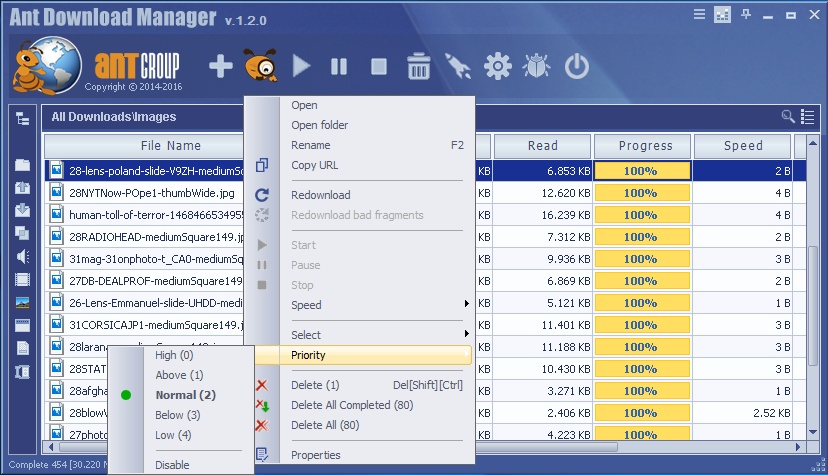 Ant Download Manager 2.11.4.87518 Final