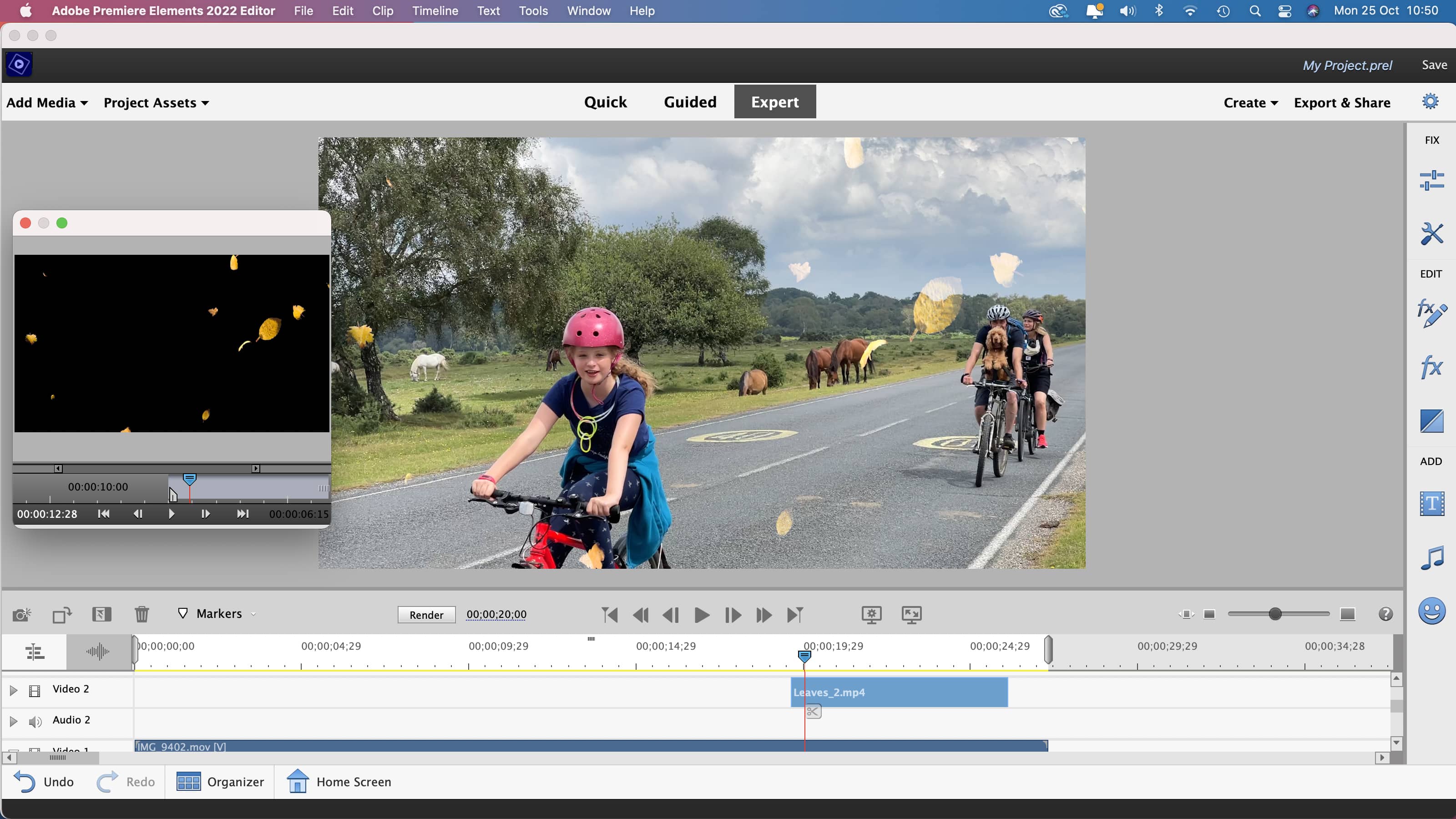 Adobe Premiere Elements 2023 v21.0 Full