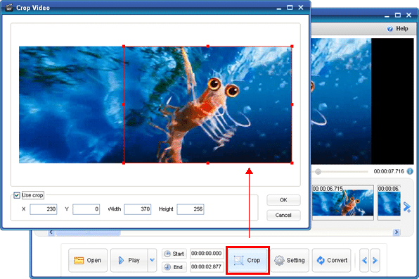 ThunderSoft Video to GIF Converter 4.2.0 Full