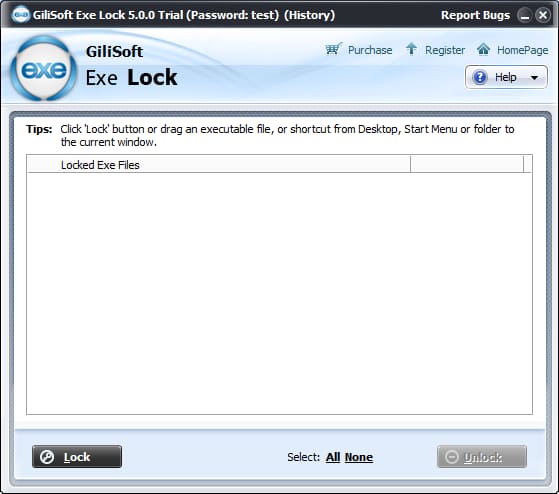 GiliSoft Exe Lock 10.9 Free Download Full